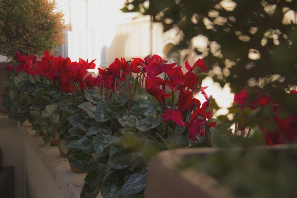 Canova Tadolini Luxury Rooms And Suites Rome Bagian luar foto